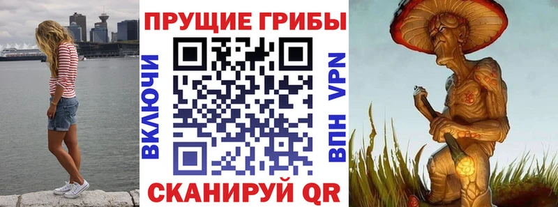 Галлюциногенные грибы прущие грибы  где купить наркоту  Бородино 